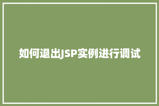 如何退出JSP实例进行调试